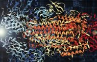 The 'Sound' of the Coronavirus