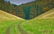 Yorkshire Resident Hosts a Series of Walks for Local Charity