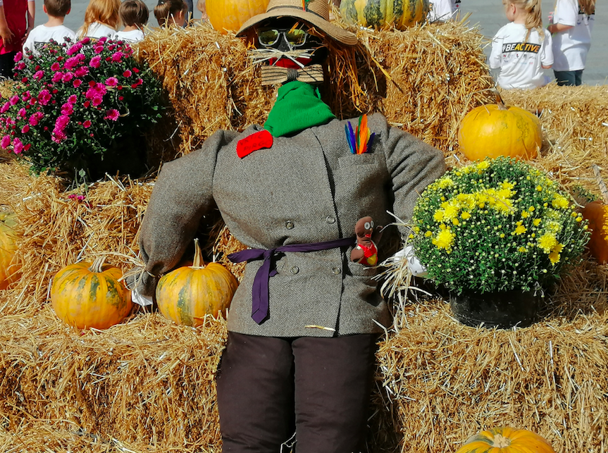 Scarecrow Festival returns to Almondbury Ward this weekend