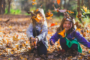 Free school meal vouchers available this October half-term