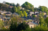 Charity to Campaign for Local Councils to Retro-fit Trees into Housing Estates to Bring Nature Back
