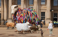 Kirklees Sheep Sculptures See the Light as Part of Lumiere in Durham