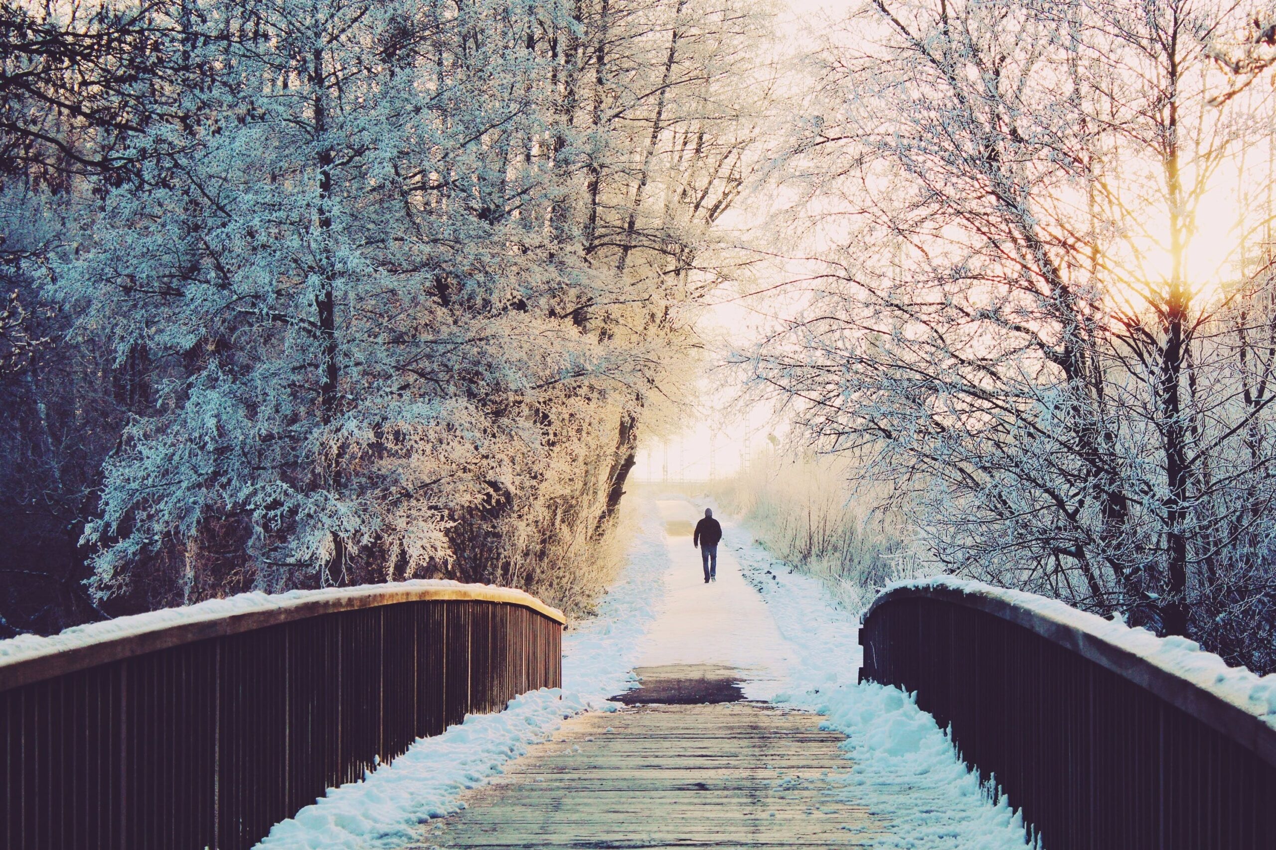 Research Reveals that December Sees the Highest Weekly Death Rate