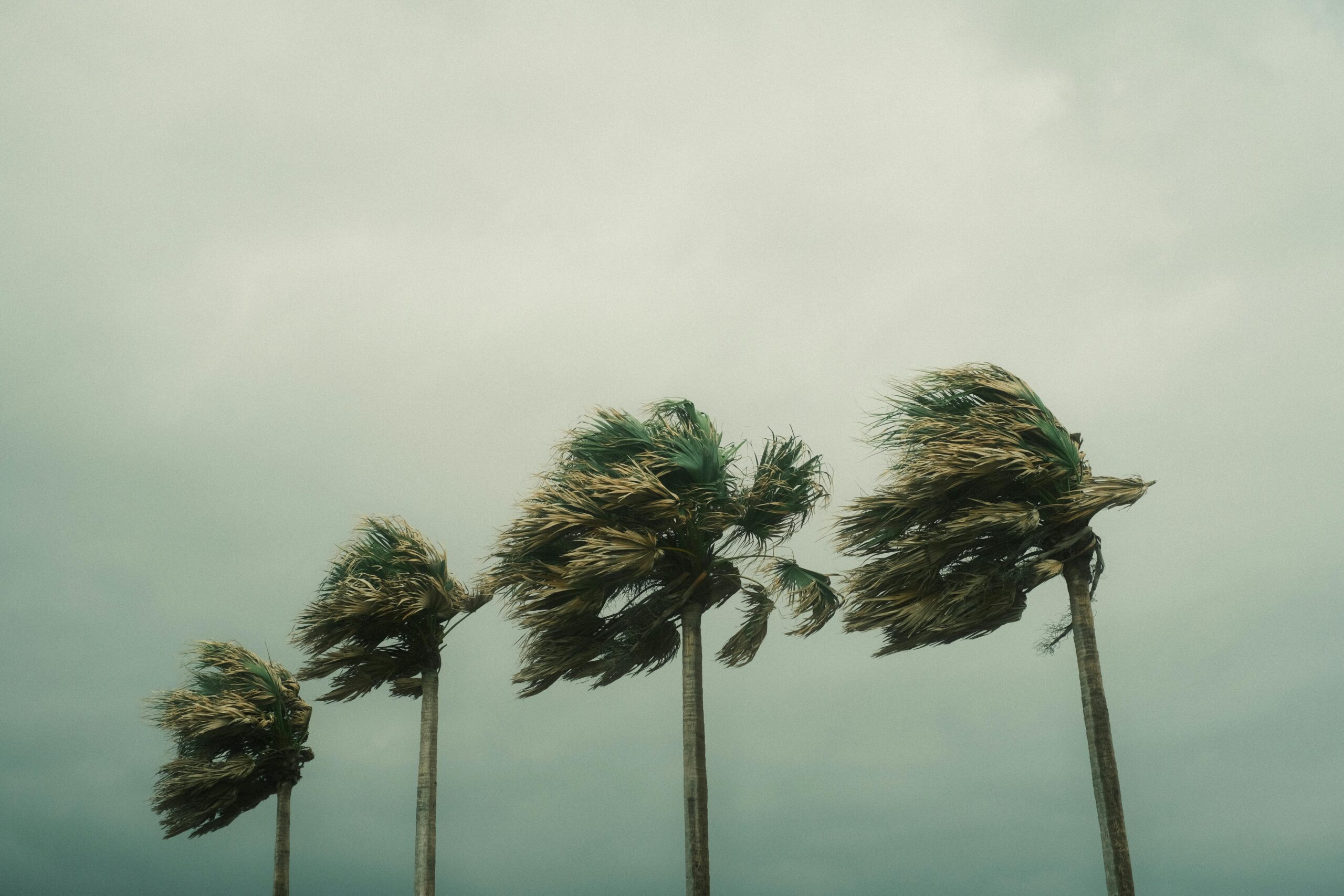 Union Island Still Left in ‘Total Darkness’ After Hurricane Beryl