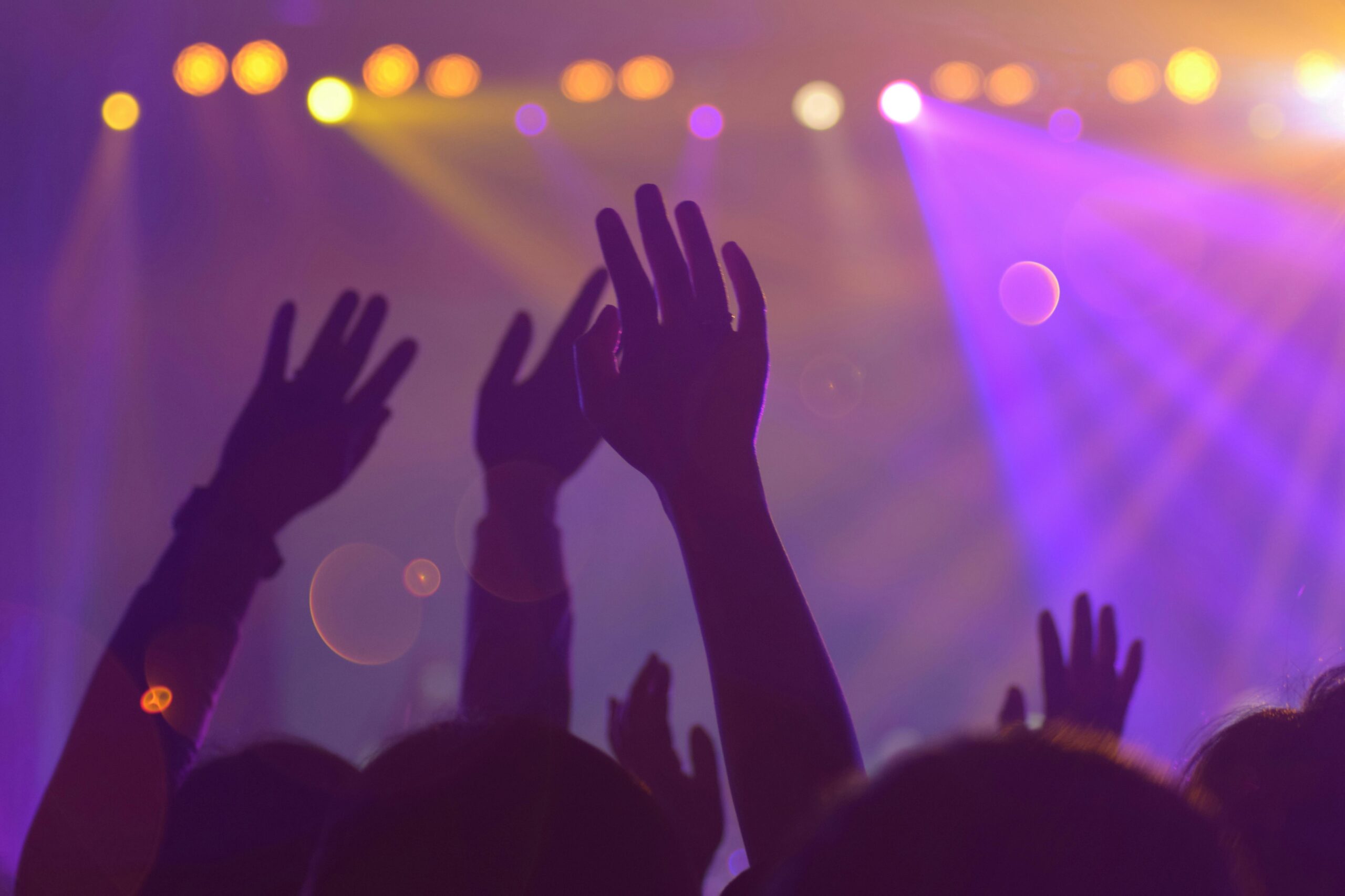 Livefields Festival Returns for 2024