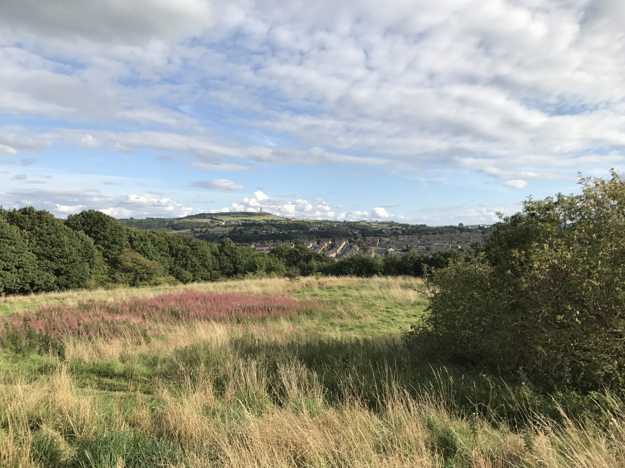 West Yorkshire: A Natural Legacy at Risk and the Vision for Recovery