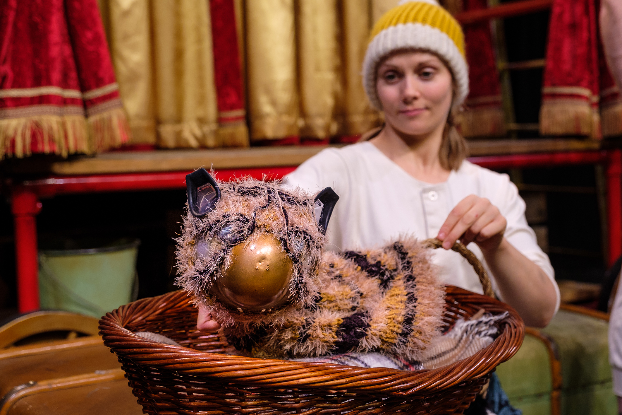 Fenella Comes Home - A Tiger's Tale Comes To Town