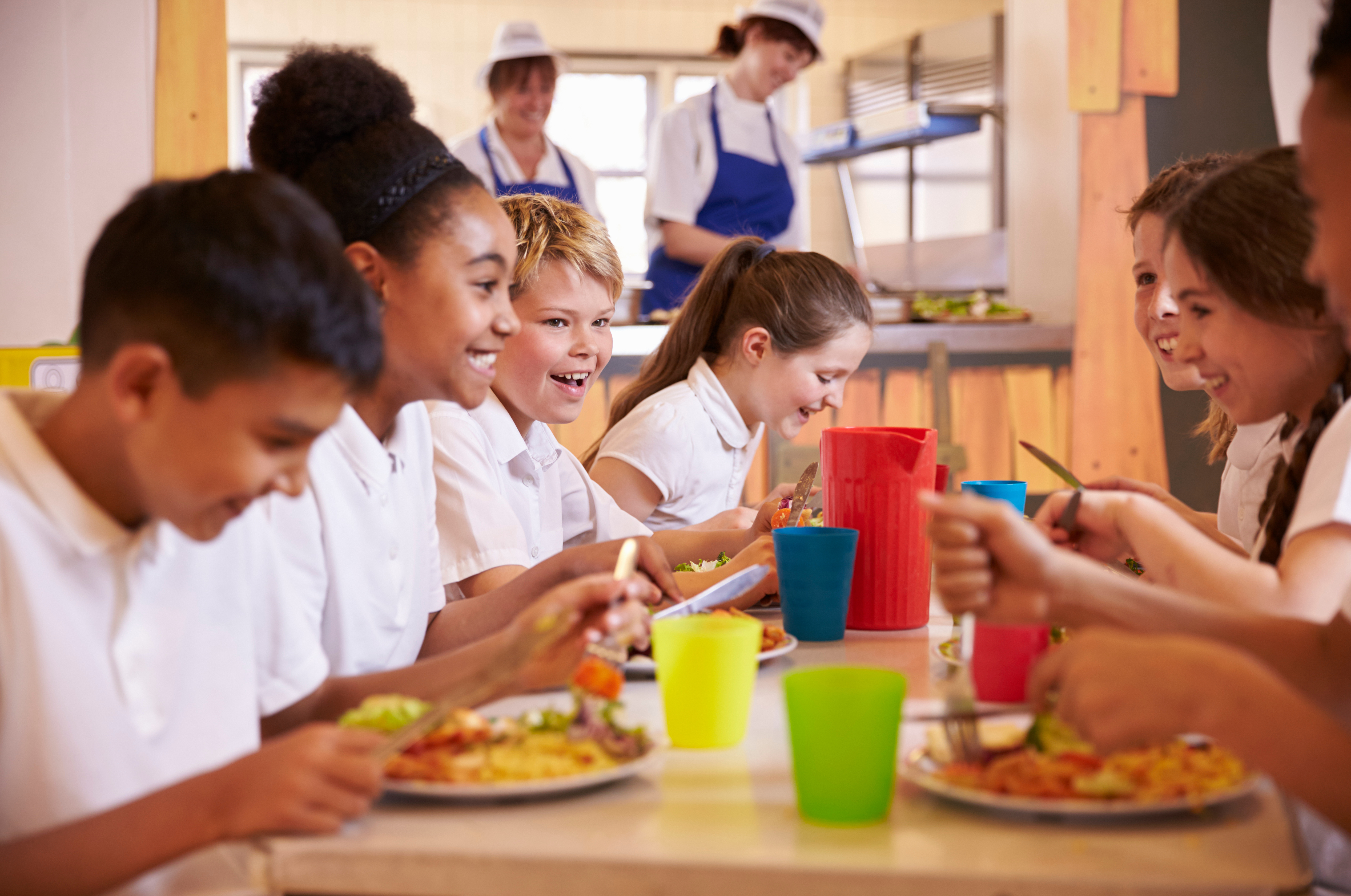 Online Training Provider High Speed Training Offering Free Allergy Training to All Schools