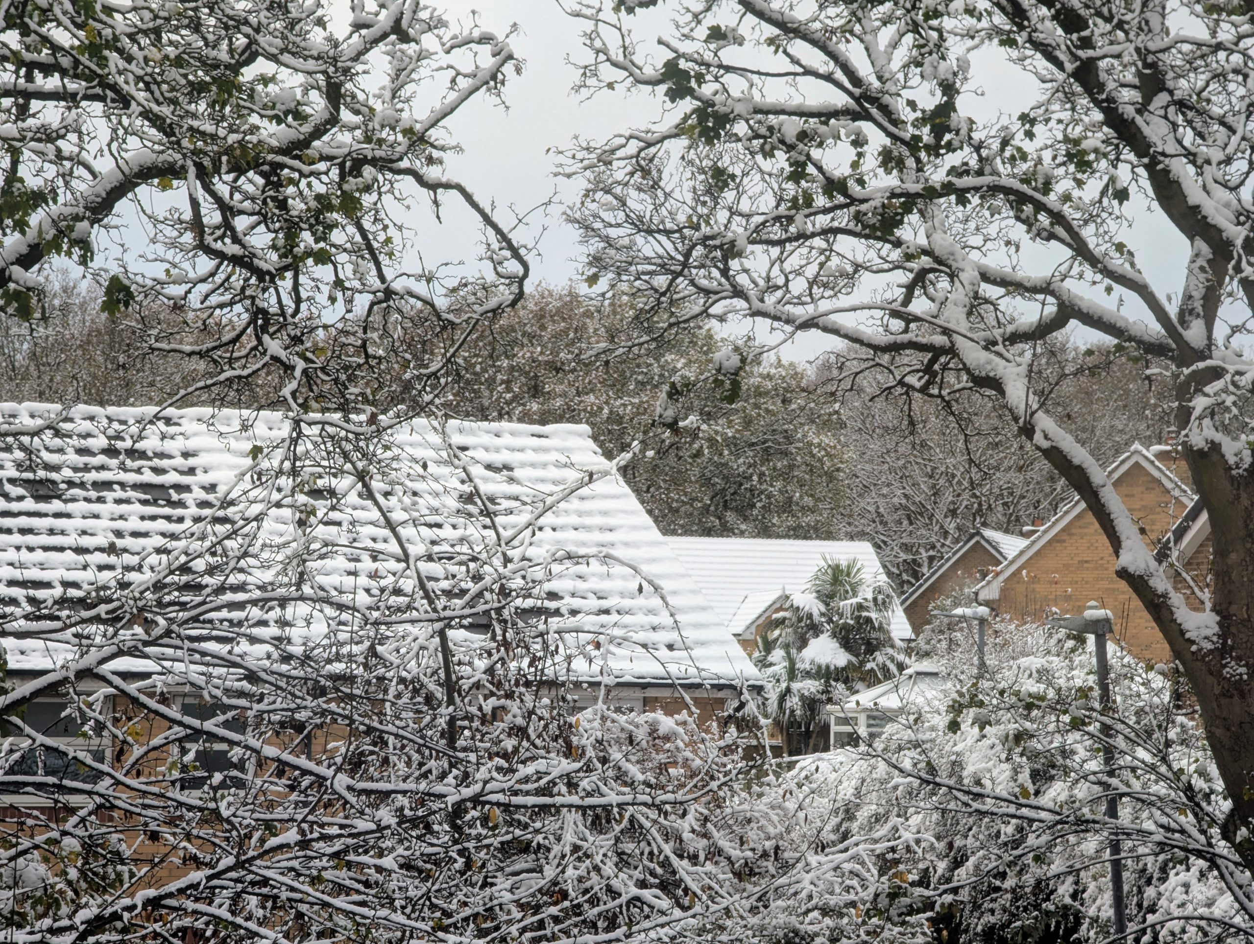 Kirklees Council Activates Severe Weather Emergency Protocol Amid Cold Snap