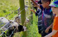 Weston Charity Awards 2025 Open for Applications