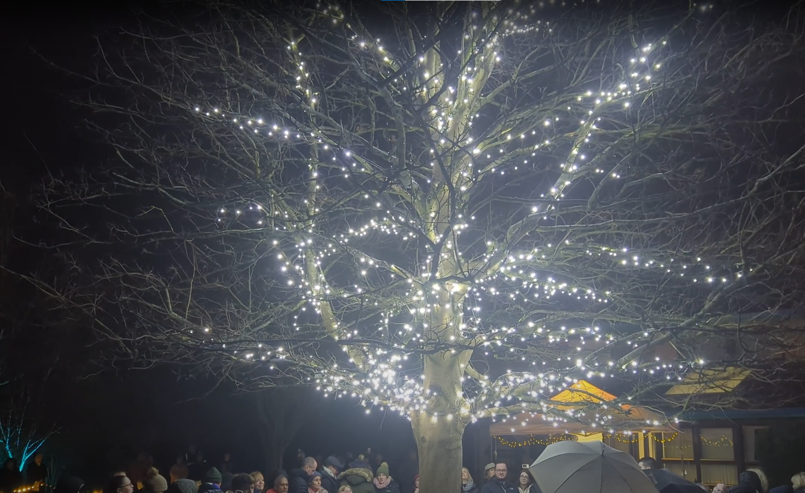 Kirkwood Hospice Hosts Heartfelt Light Up a Life Memorial Event 2024