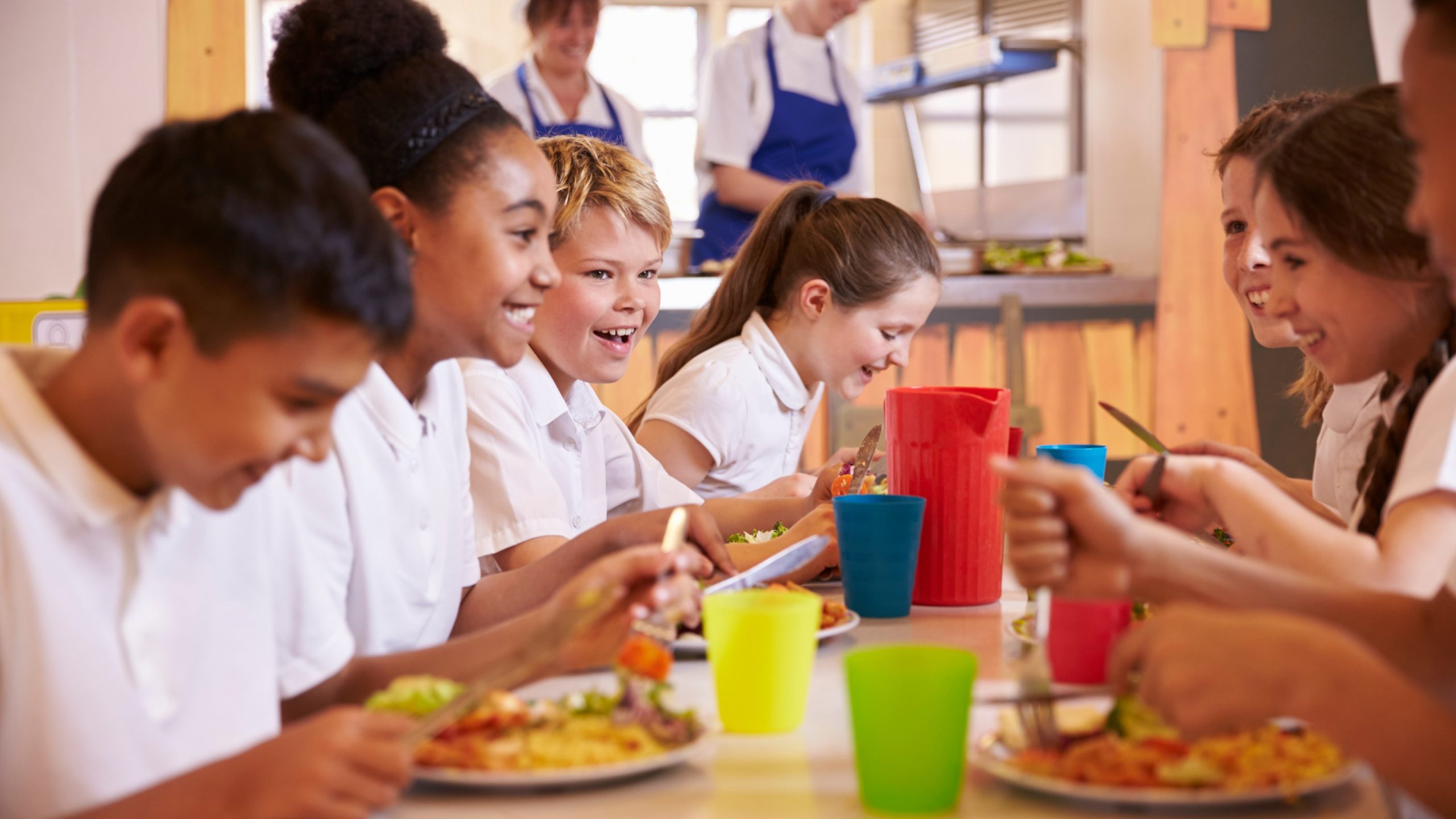 Natasha Allergy Research Foundation Launches Groundbreaking Allergy School Programme