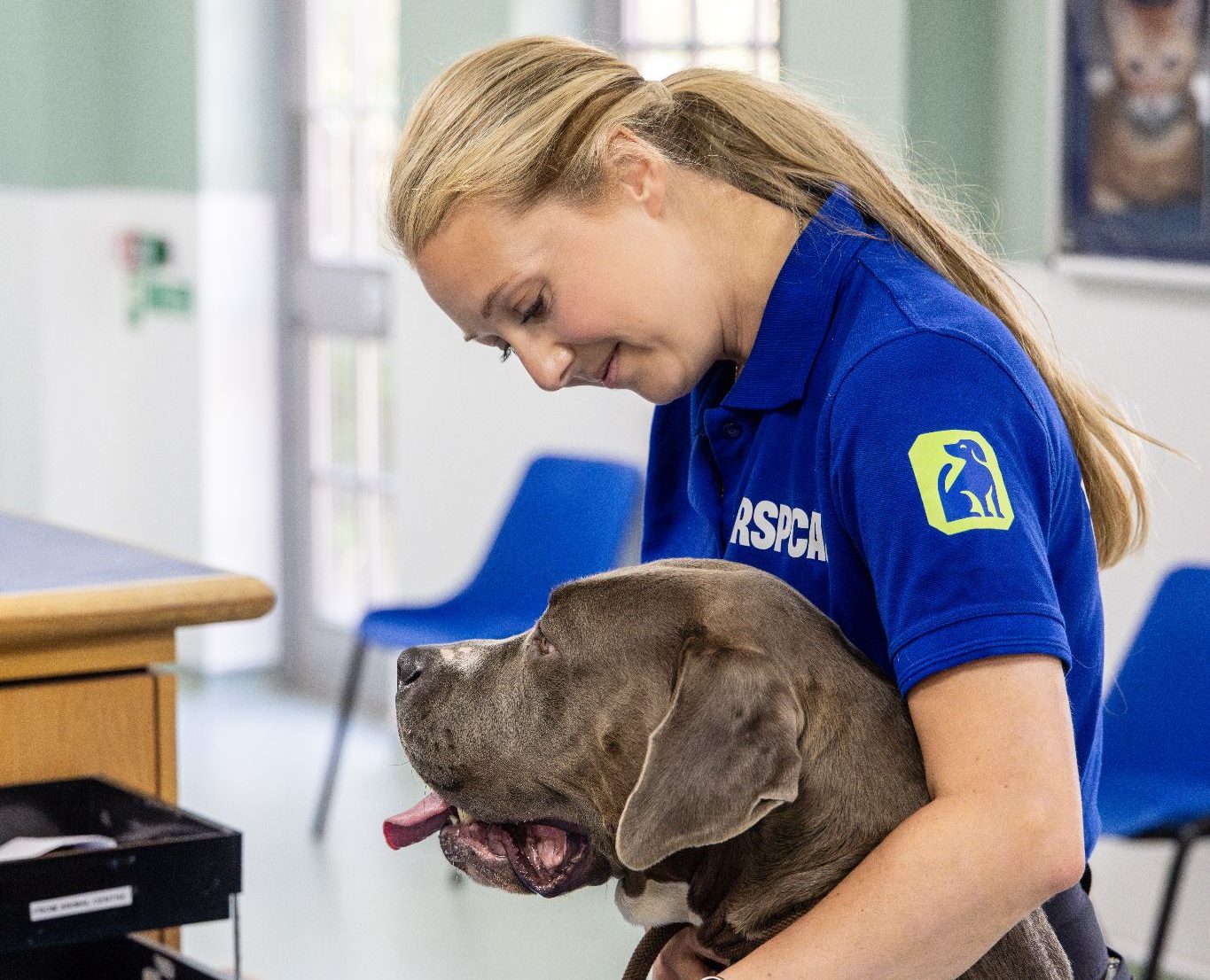 RSPCA Launches Recruitment Drive for “Kindness Crusaders” Across the UK