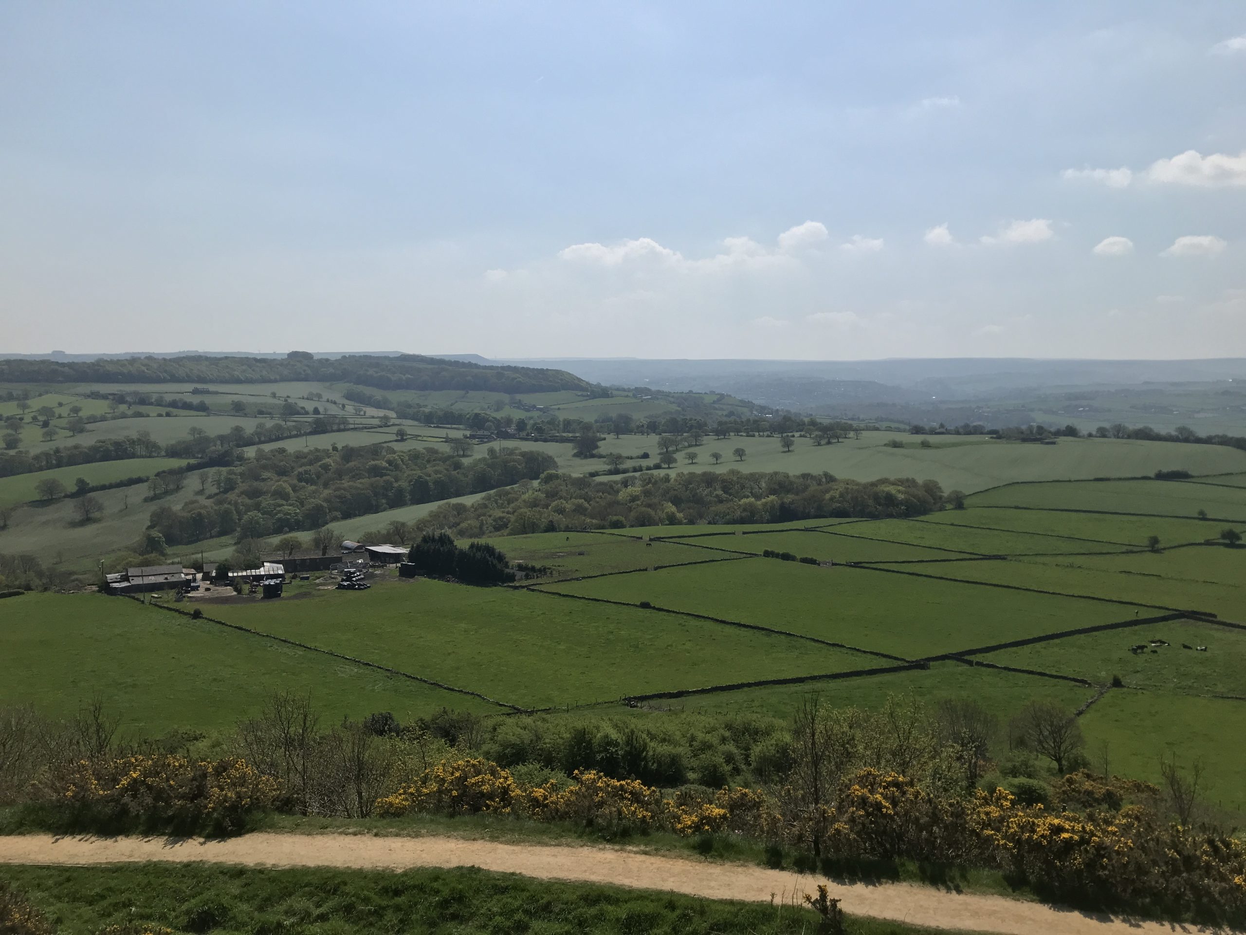 West Yorkshire Residents Invited to Shape Ambitious New Strategy to Restore Nature