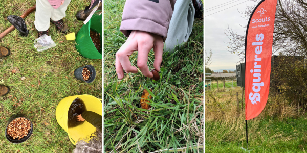Young Scouts Lead the Way as Community Plants Thousands of Trees Beside Castle Hill
